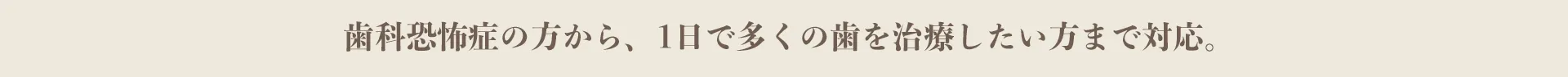 歯科恐怖症の方から、1日で多くの歯を治療したい方まで対応。