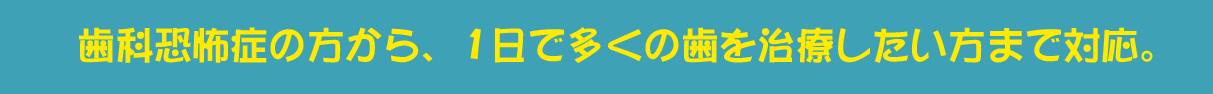 歯科恐怖症の方から、1日で多くの歯を治療したい方まで対応。
