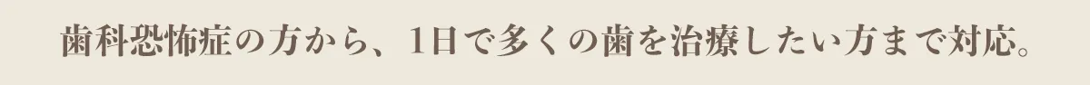 歯科恐怖症の方から、1日で多くの歯を治療したい方まで対応。